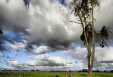 转会期体能课后，布鲁克林篮网官宣签约备战亚冠，目标明确，纪律约束更严格